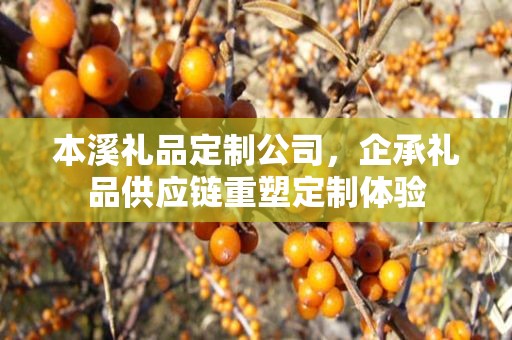 本溪礼品定制公司，企承礼品供应链重塑定制体验
